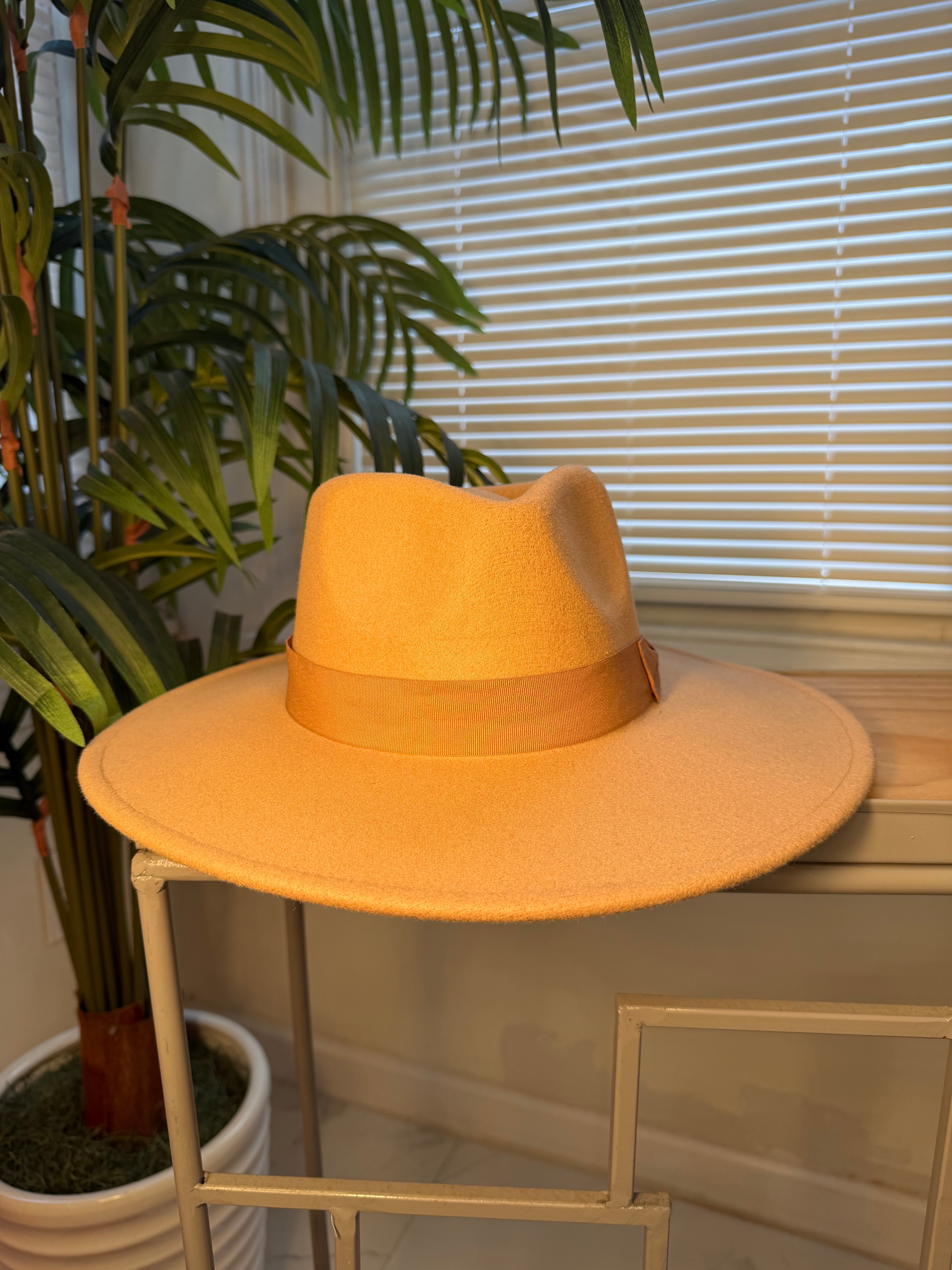 Fedora Hats