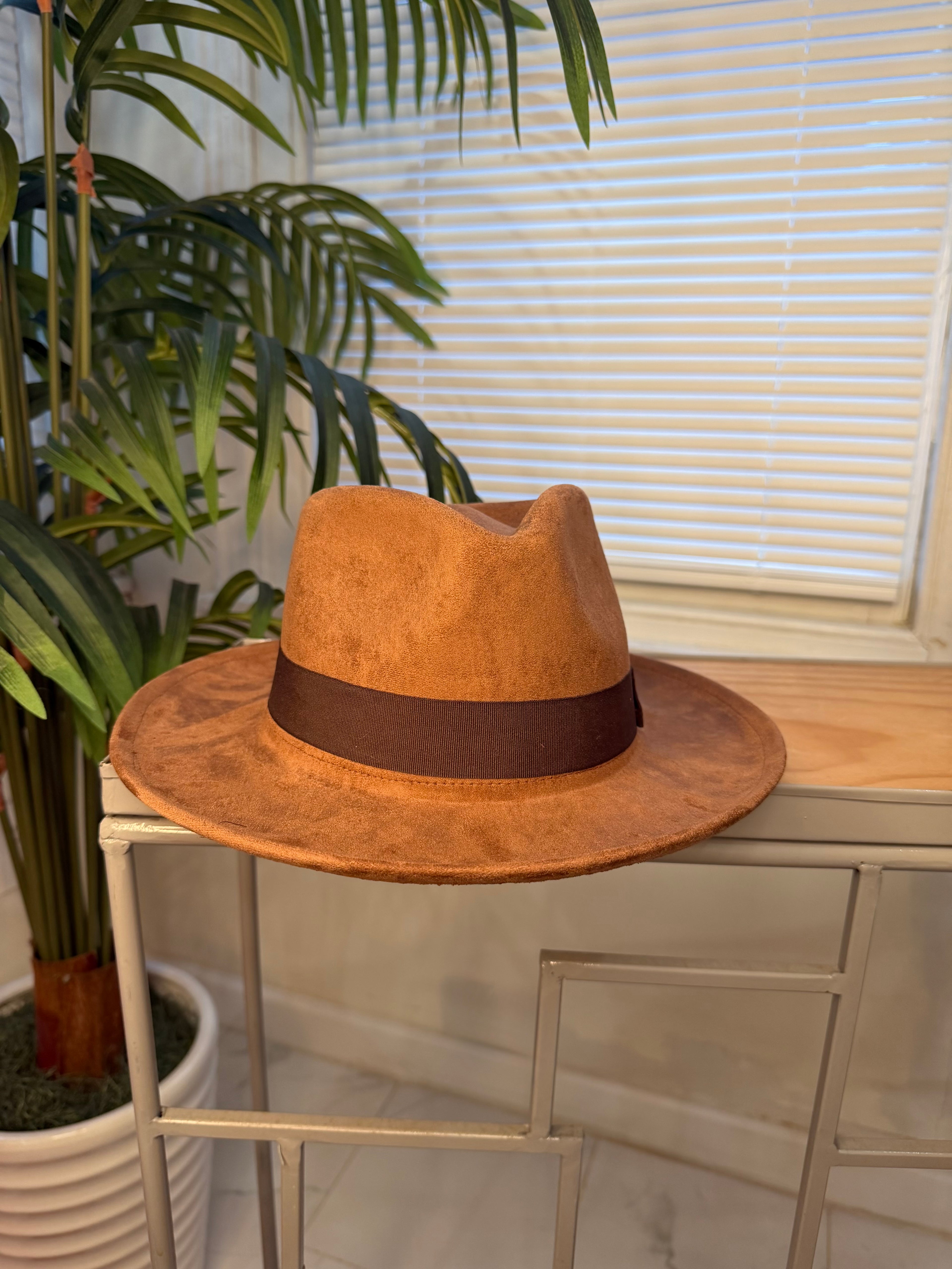 Stylish Fedora Hats