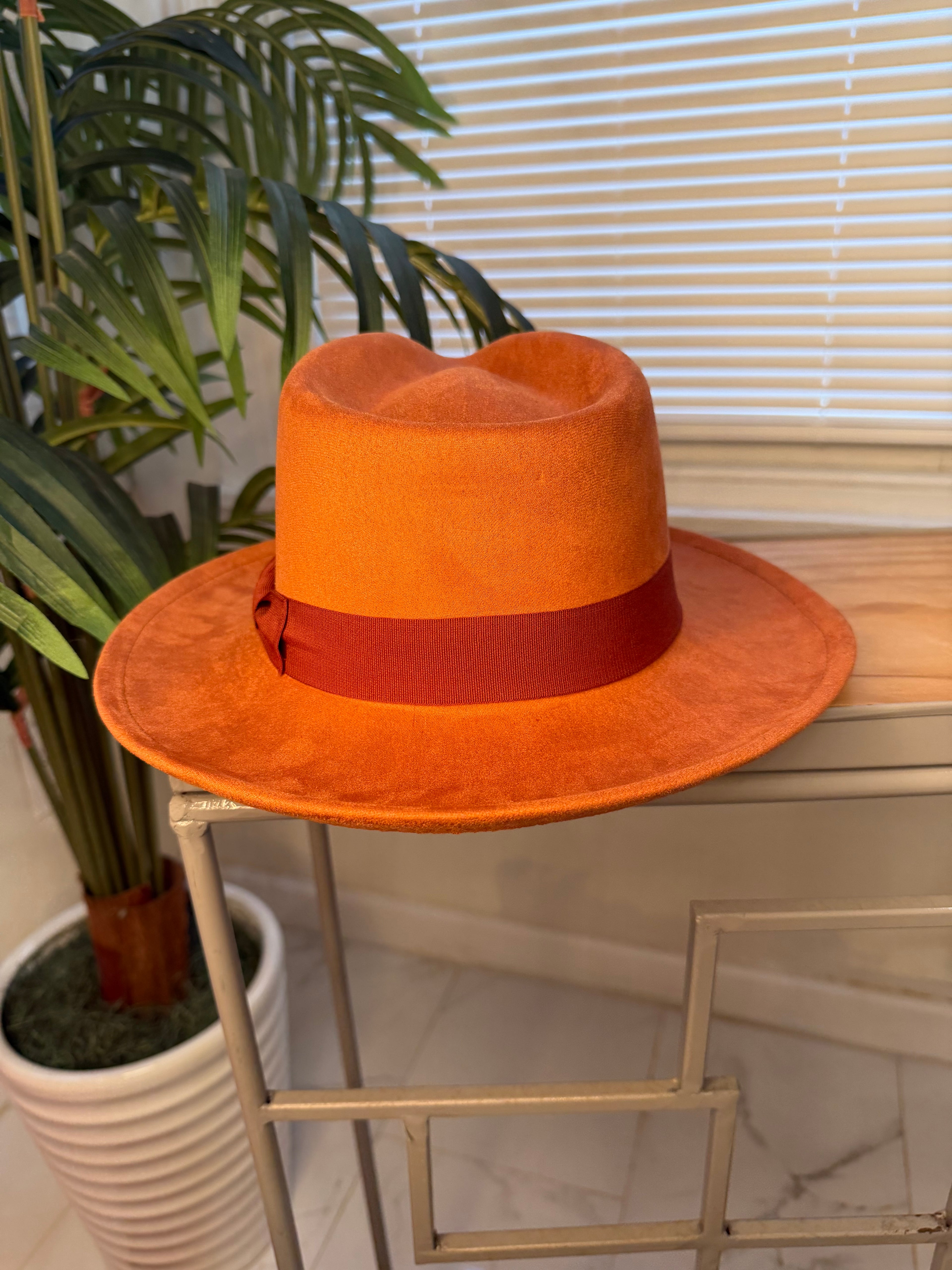 Stylish Fedora Hats