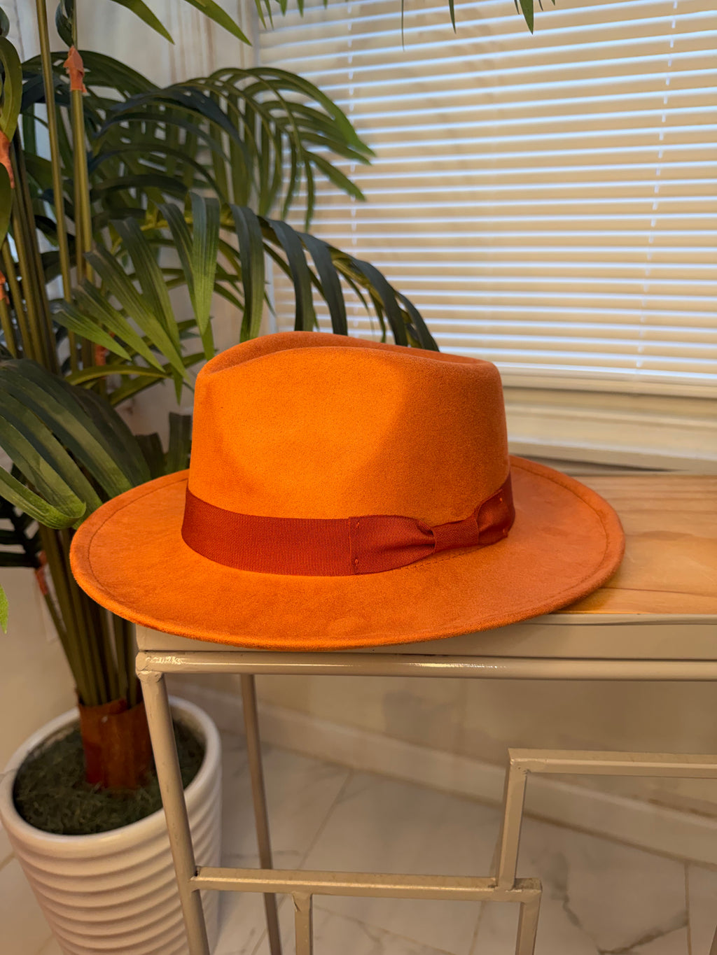 Stylish Fedora Hats