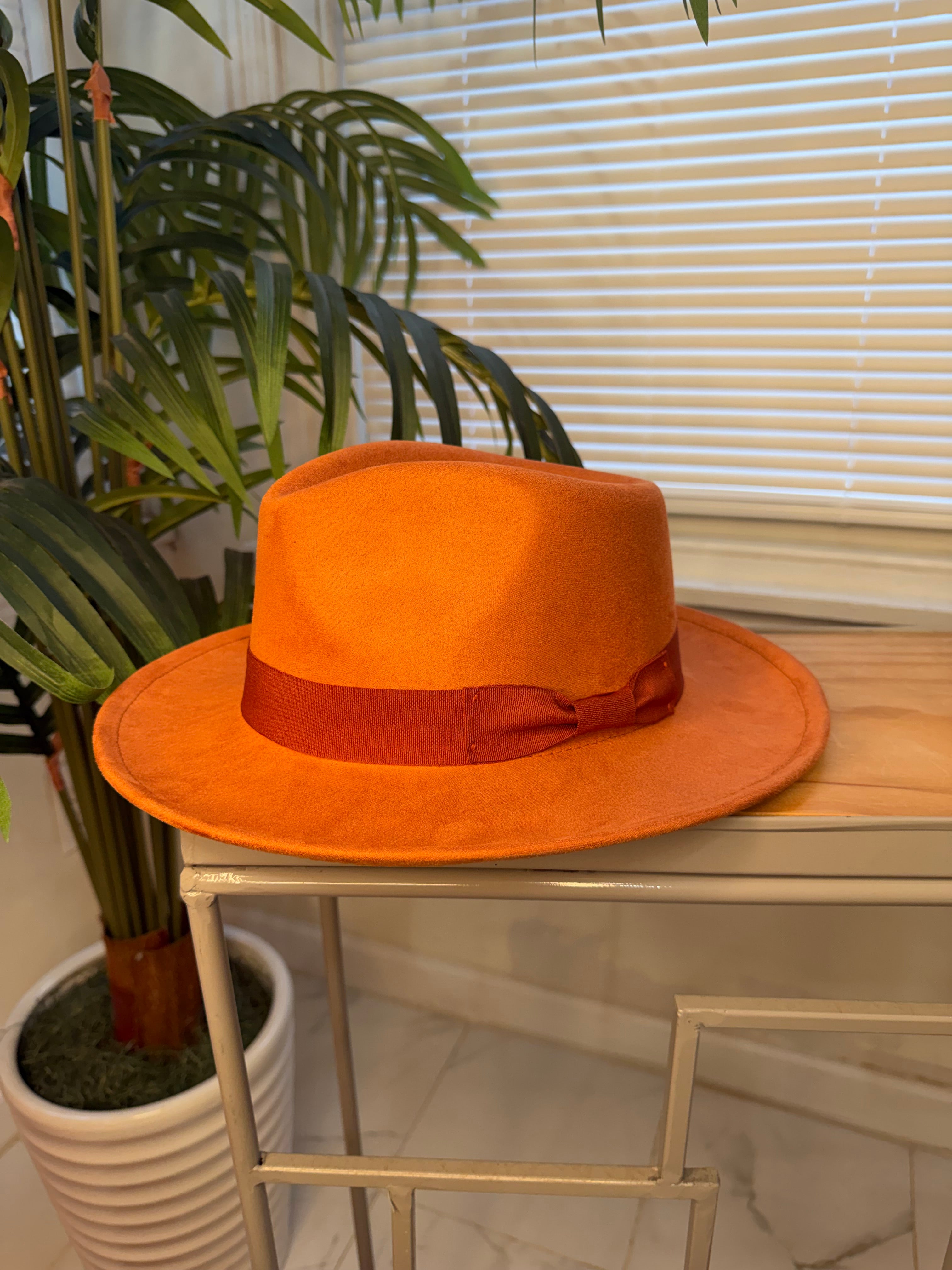 Stylish Fedora Hats