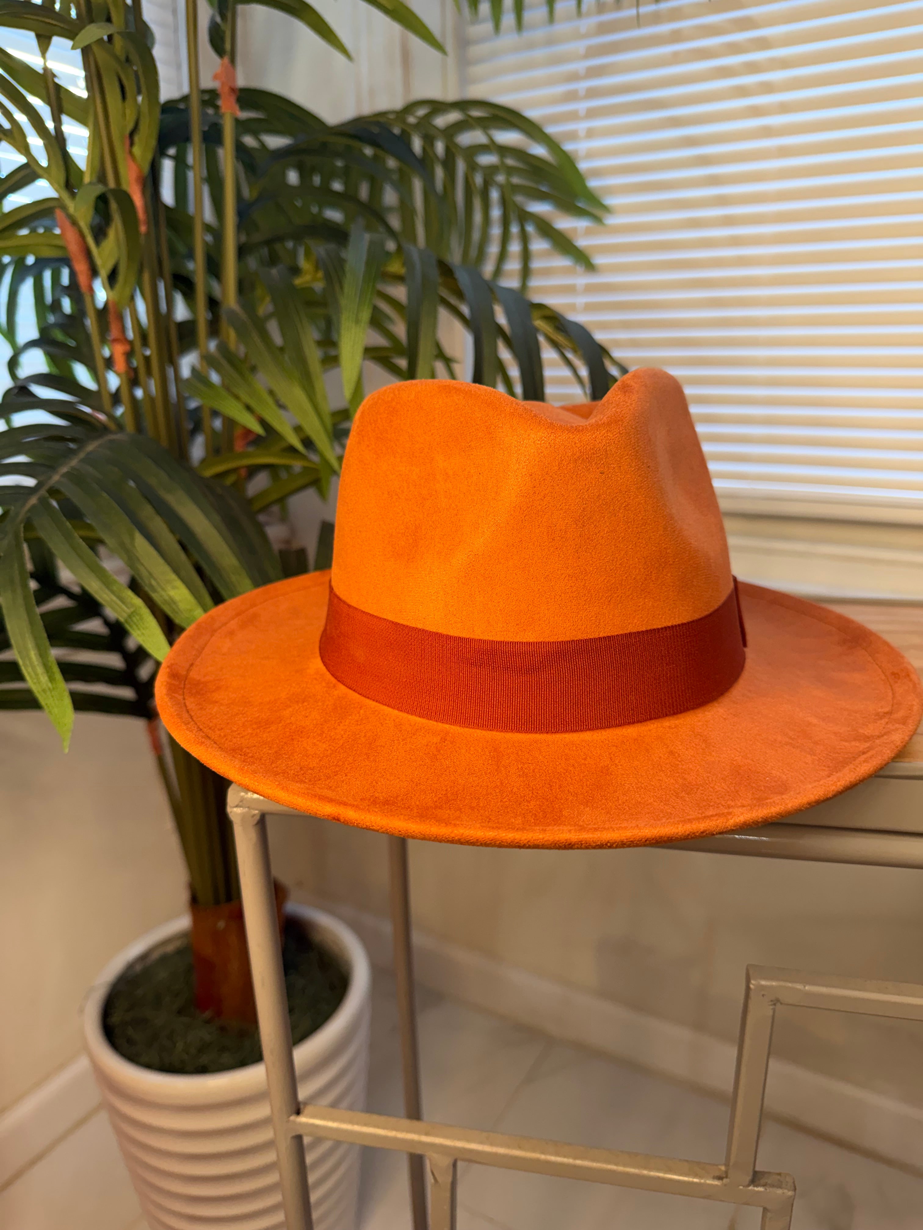 Stylish Fedora Hats