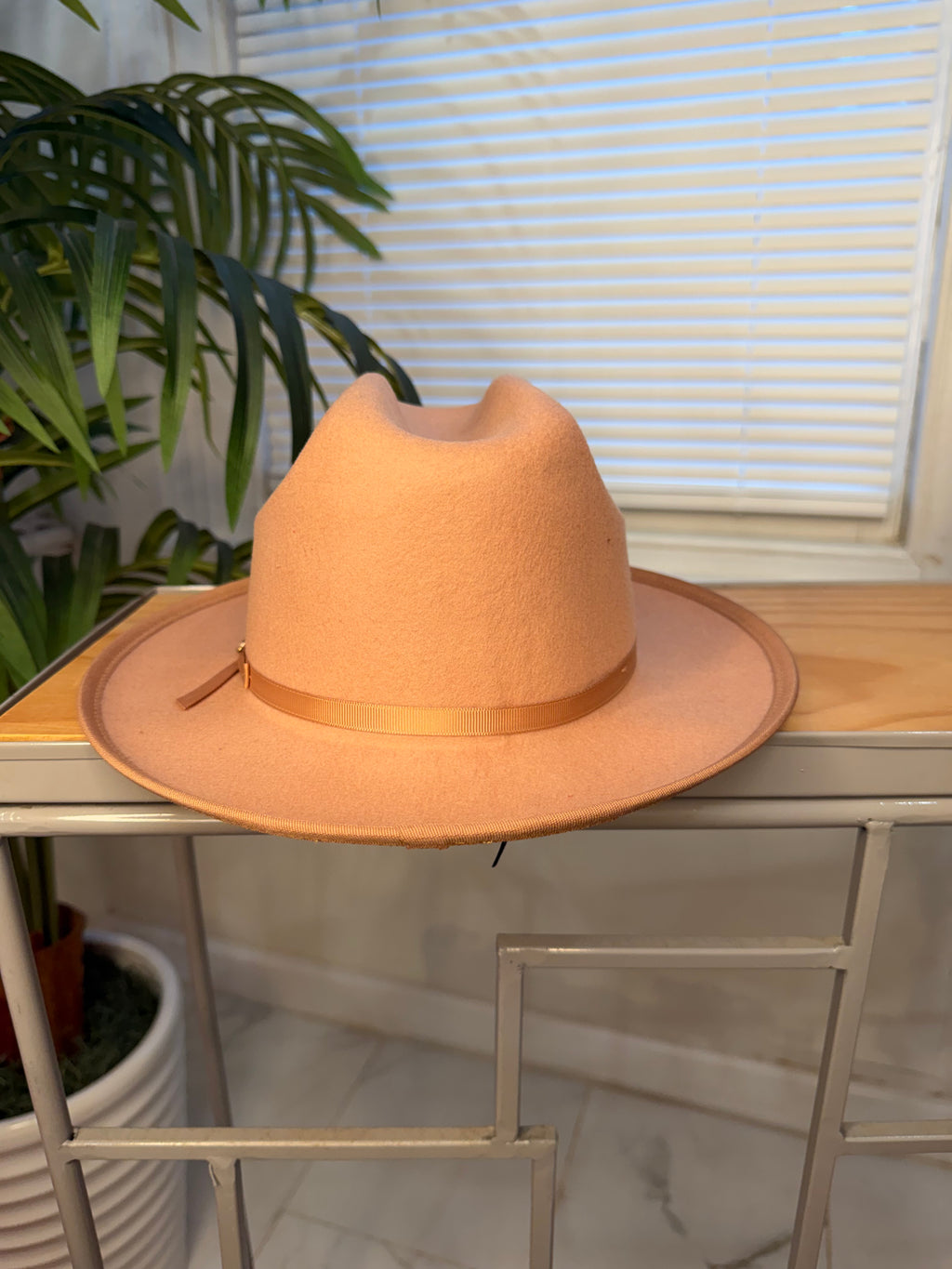 Stylish Fedora Hats