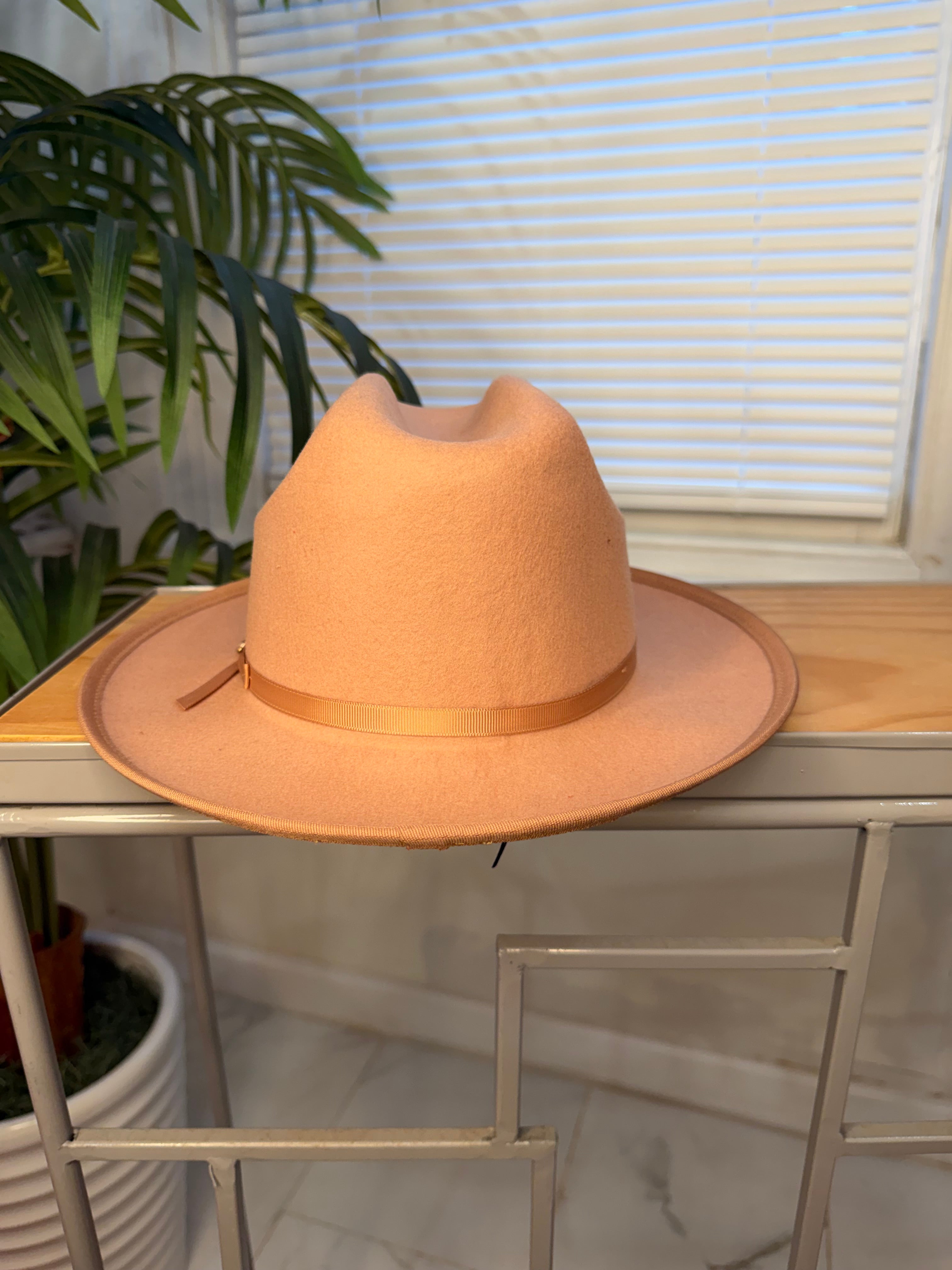 Stylish Fedora Hats
