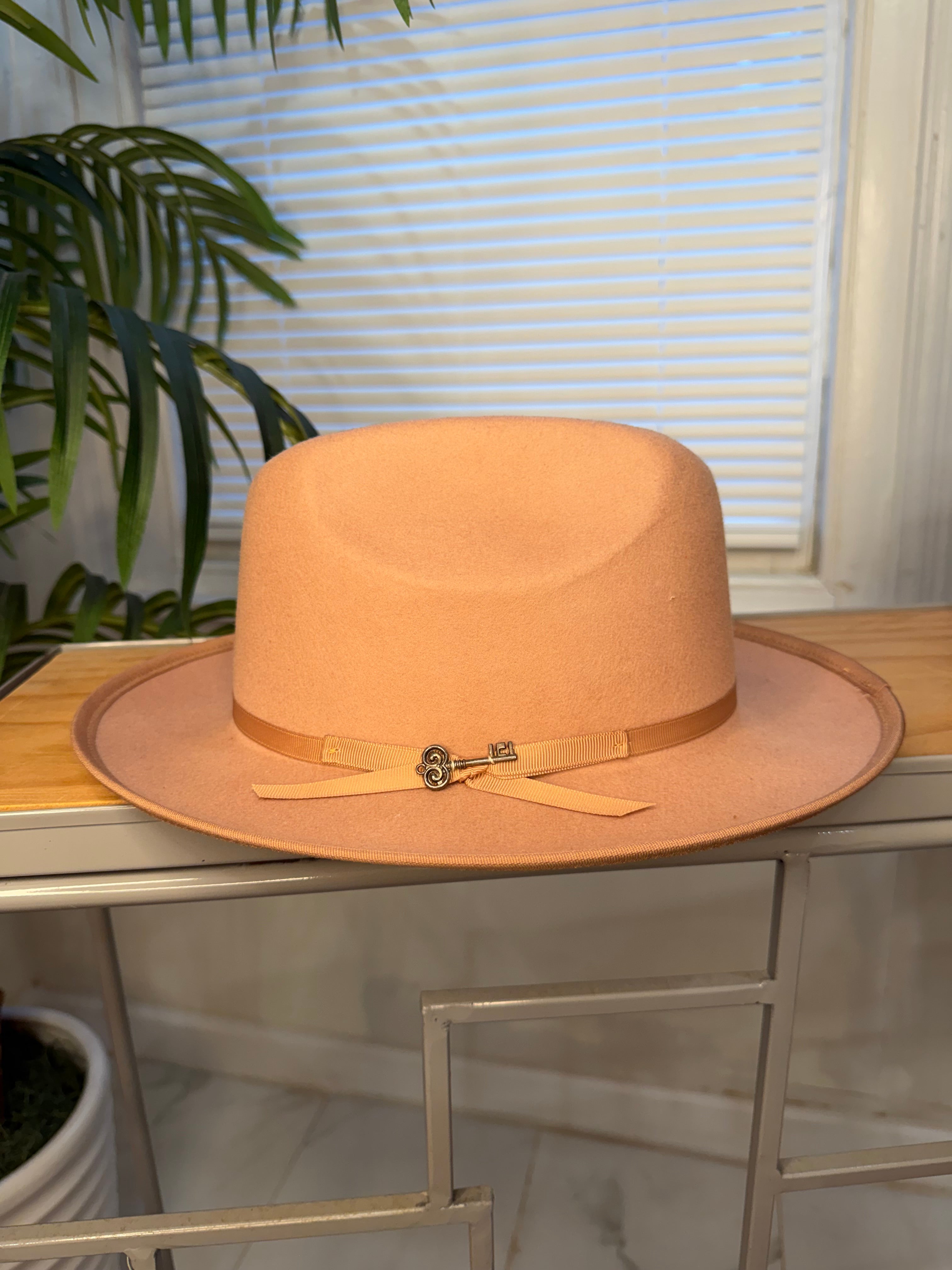 Stylish Fedora Hats