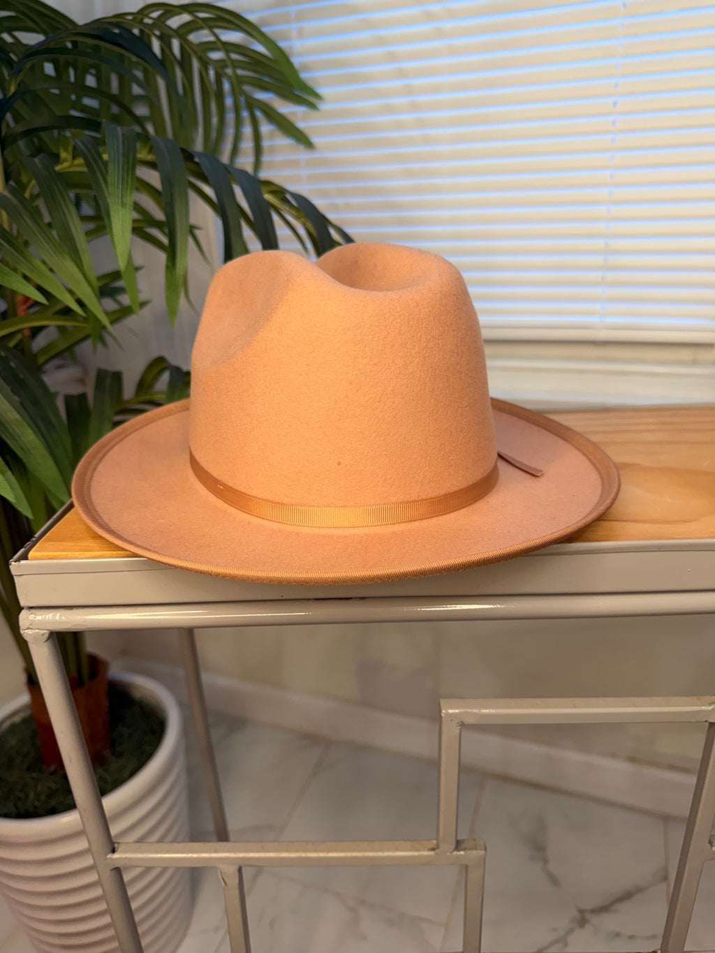 Stylish Fedora Hats